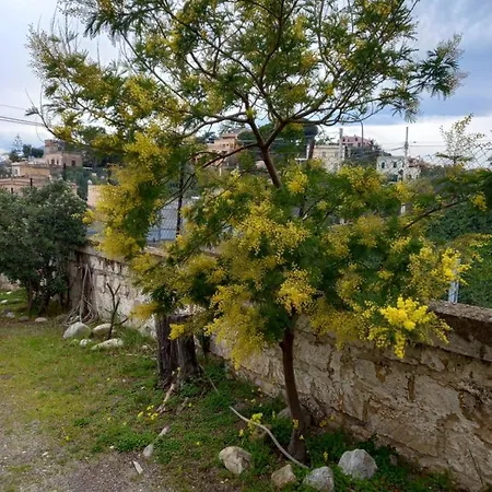 Riviera Apartmán *